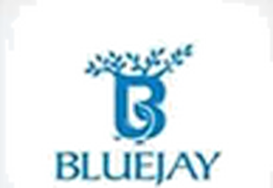Bluejay logo